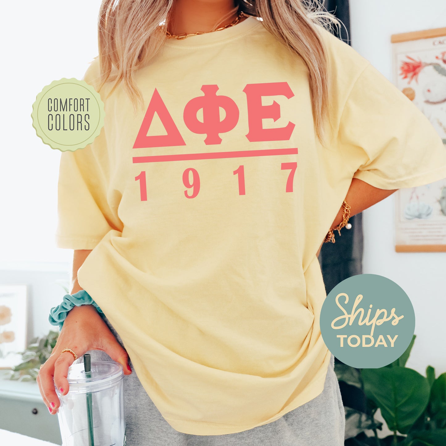 Delta Phi Epsilon Monochromatic Comfort Colors Sorority T-shirt _ 30855g