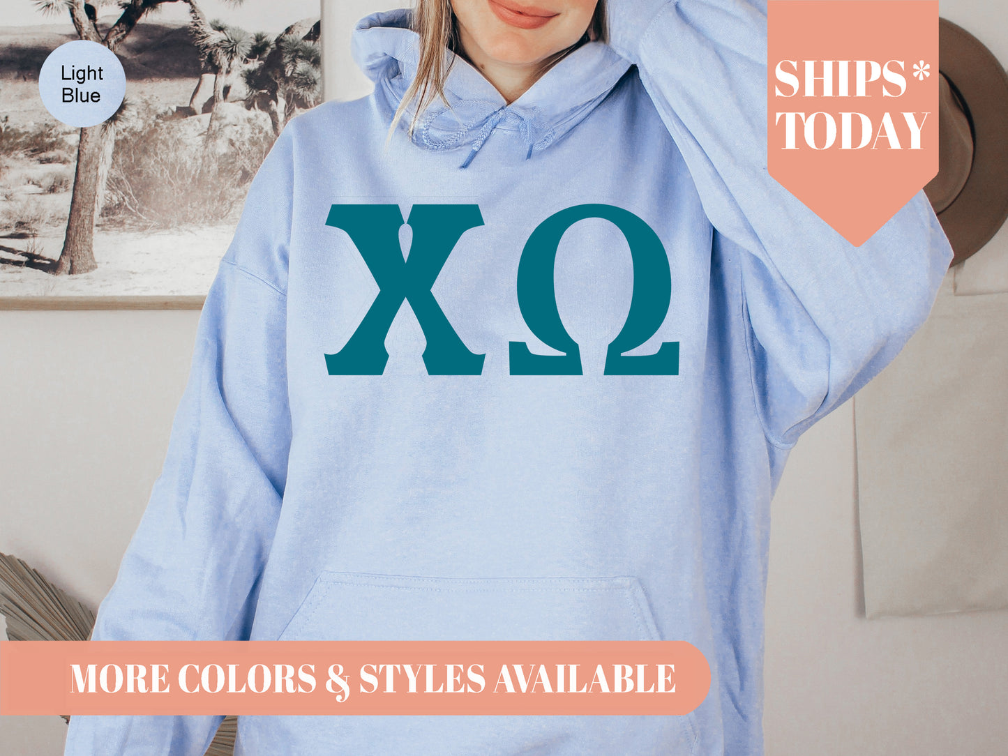 Chi Omega Back to the Basics Sorority Hoodie _ 631g