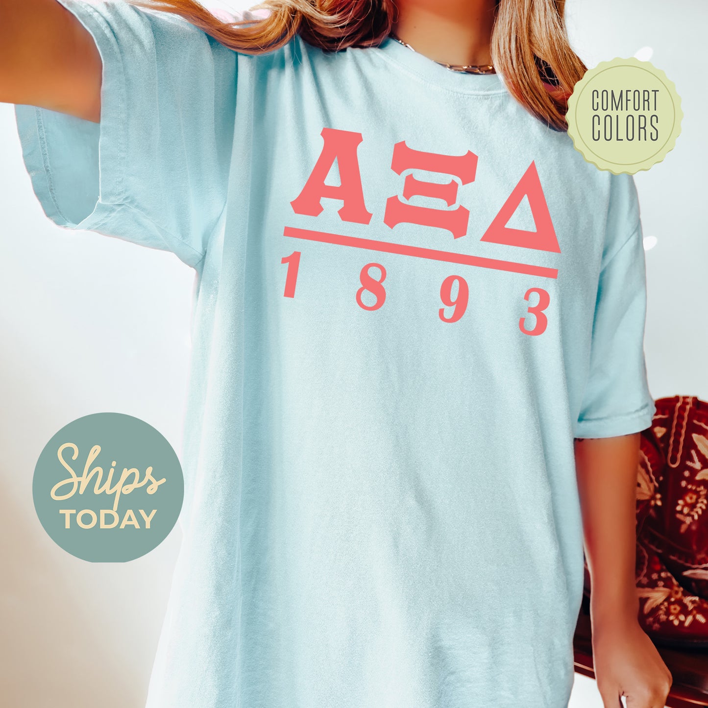 Alpha Xi Delta Monochromatic Comfort Colors Sorority T-shirt _ 30851g