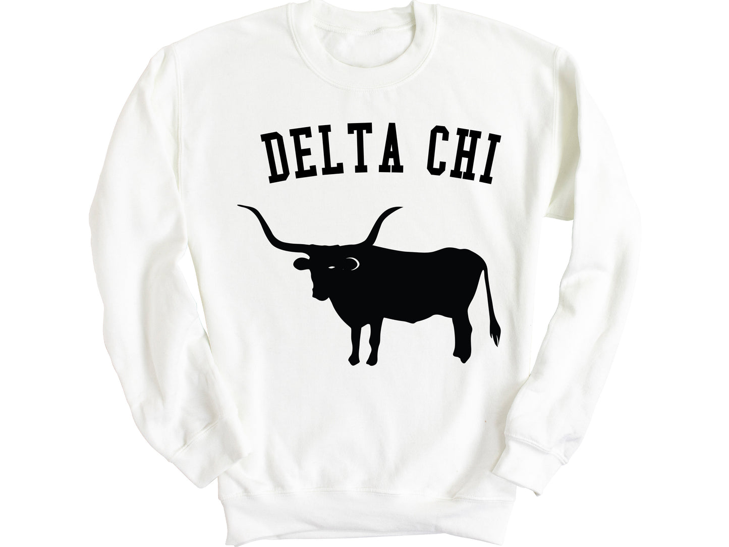 Delta Chi Long Horn Fraternity Sweatshirt _ 1530g