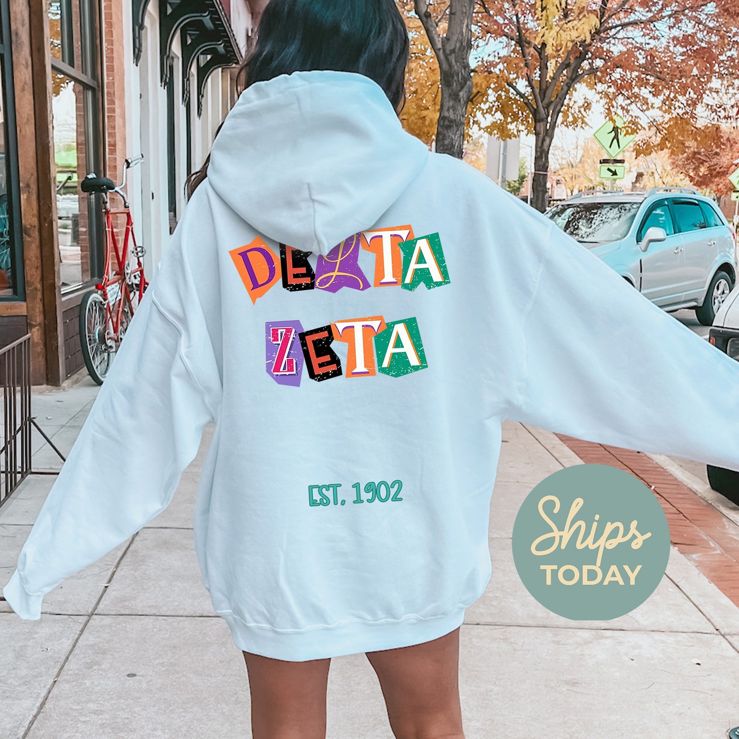 Delta Zeta Letter Cuts Sorority Hoodie _ 35900g
