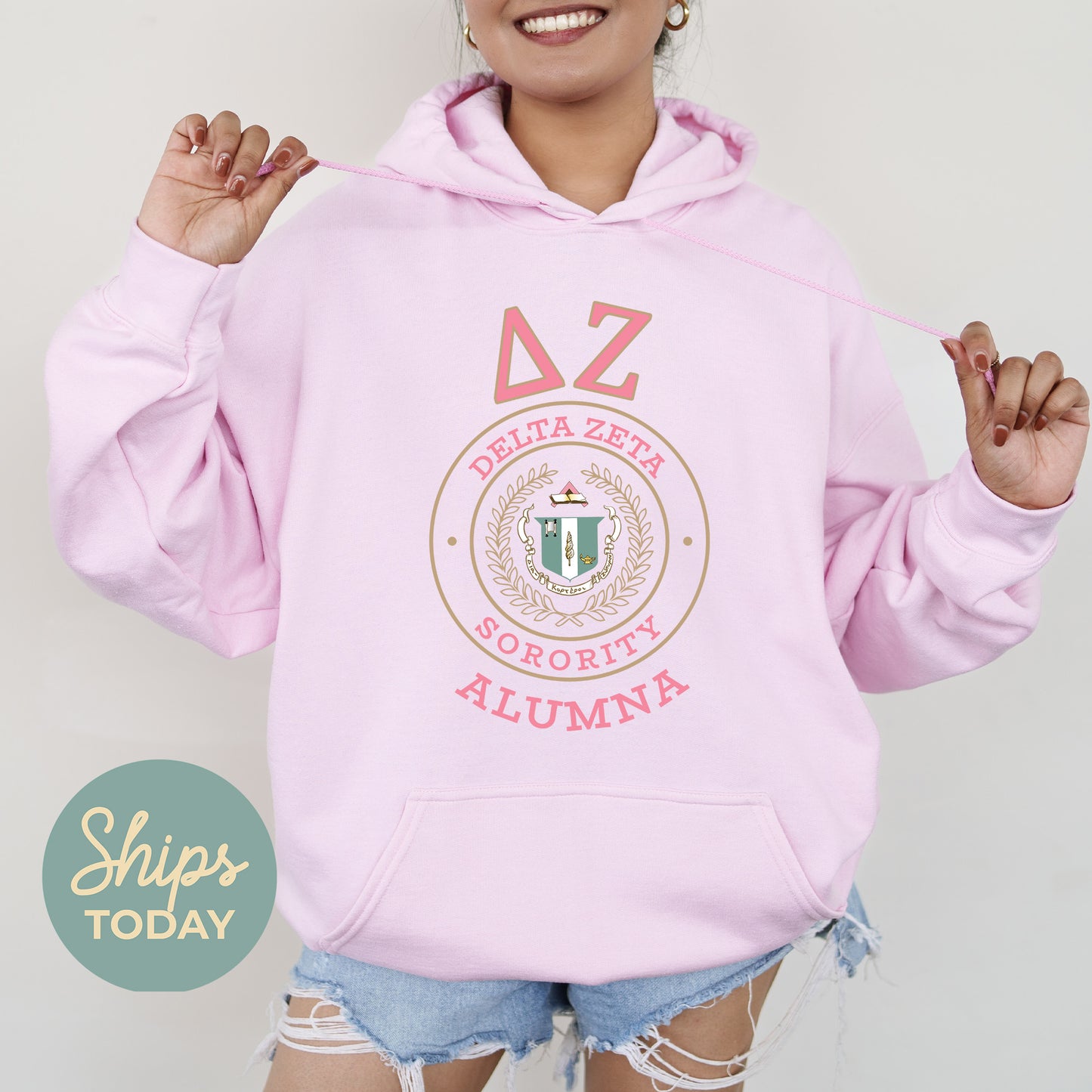 Delta Zeta Alumna Vintage Sorority Hoodie _ 31022g