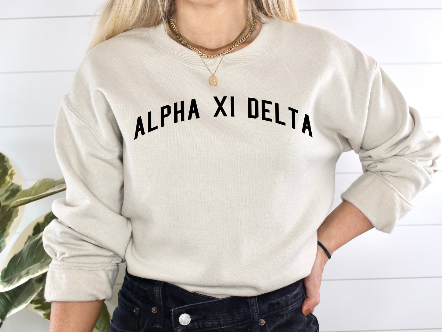 Alpha Xi Delta Just Bold Sorority Sweatshirt _ 2377g