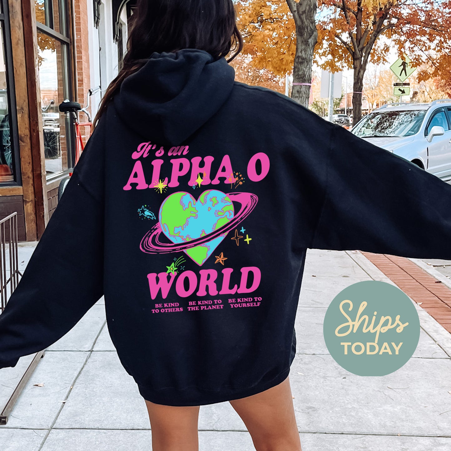Alpha Omicron Pi Pink Planet Sorority Hoodie _ 34234g