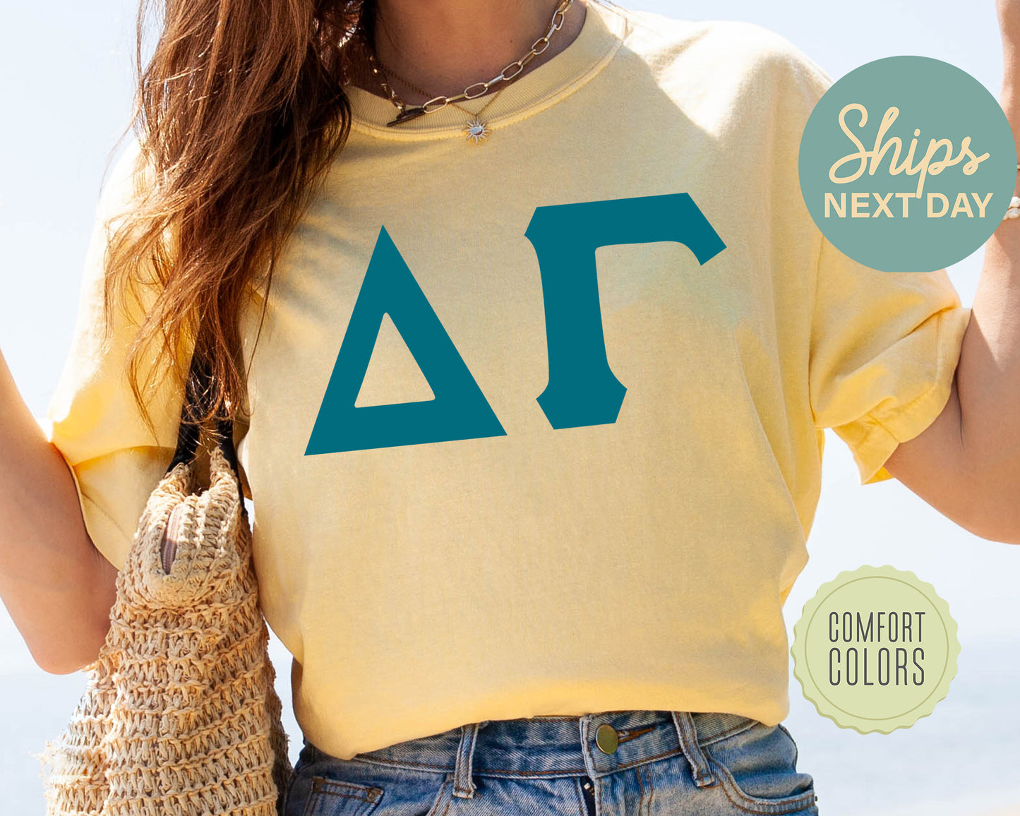 Delta Gamma Back to the Basics Comfort Colors Sorority T-shirt _ 633g