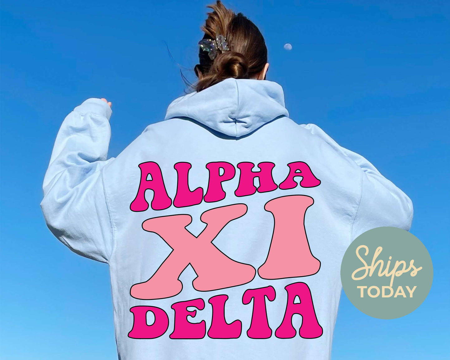 Alpha Xi Delta Shades of Pink Sorority Hoodie _ 32980g