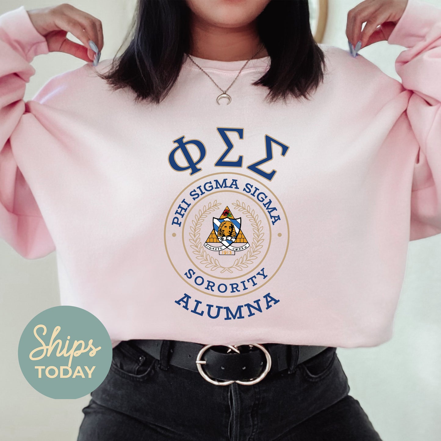 Phi Sigma Sigma Alumna Vintage Sorority Sweatshirt _ 31028g