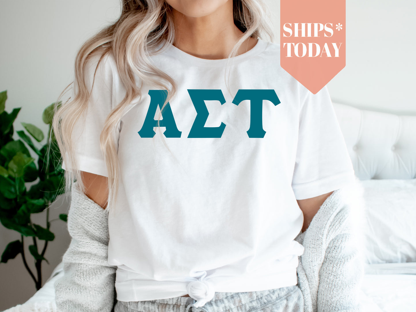 Alpha Sigma Tau Back to the Basics Sorority T-shirt _ 629g