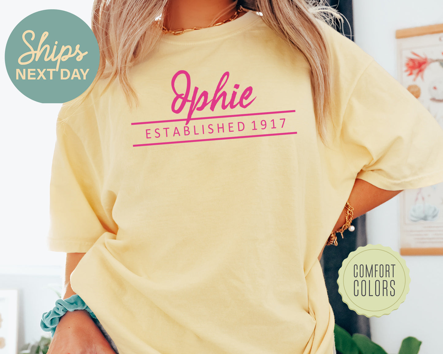 Delta Phi Epsilon All Pink Comfort Colors Sorority T-shirt _ 764g