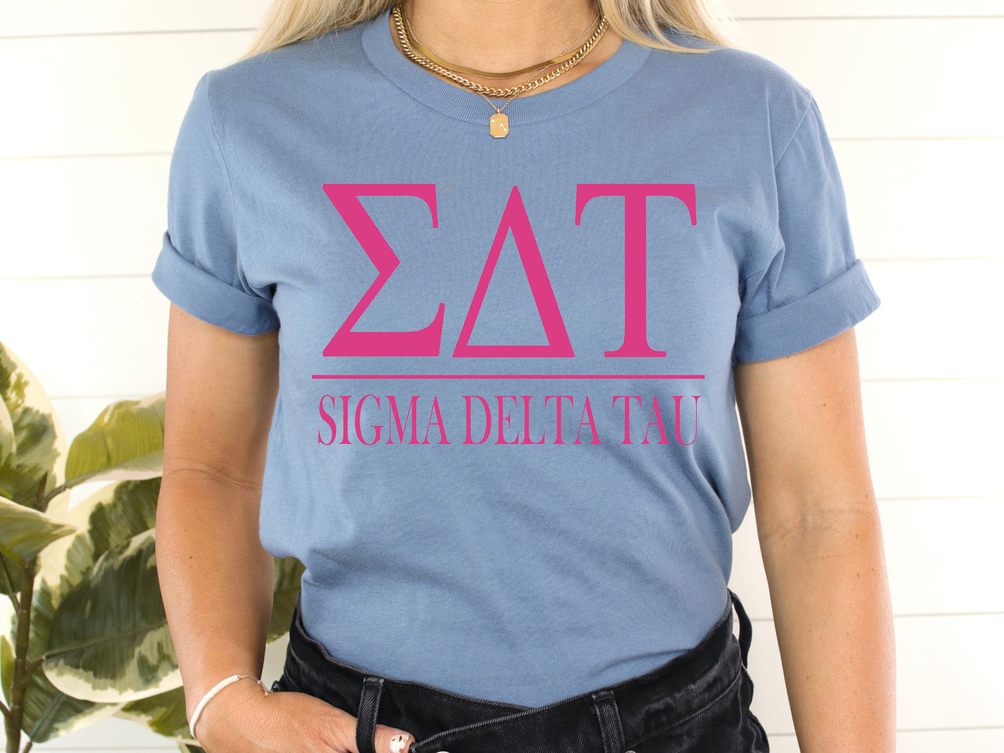 Sigma Delta Tau Loud Letters Sorority T-shirt _ 487g
