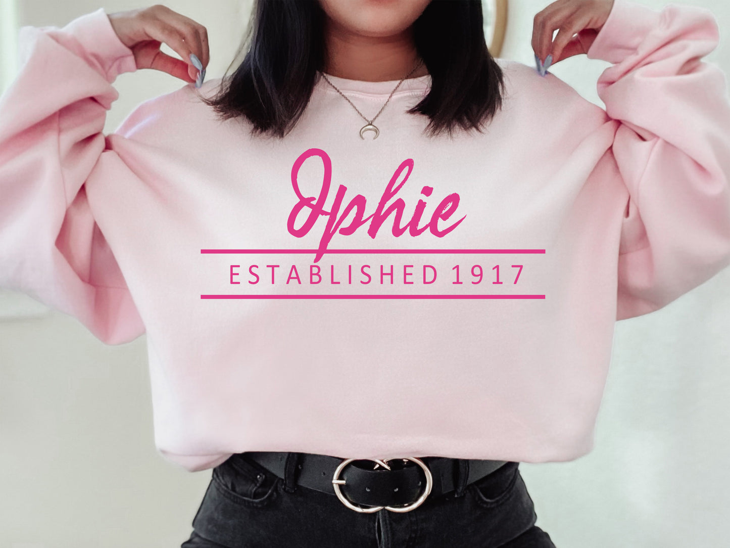 Delta Phi Epsilon All Pink Sorority Sweatshirt _ 764g