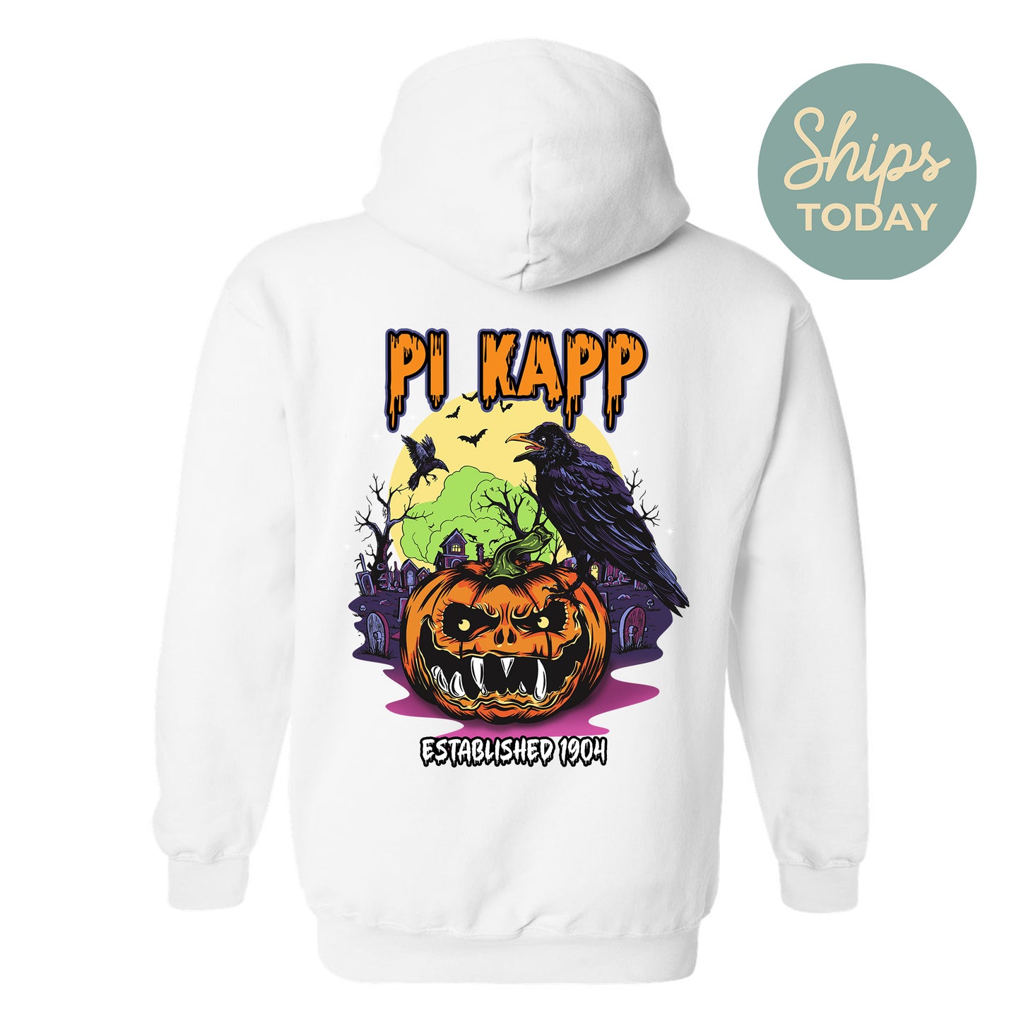 Pi Kappa Phi Halloween Bats Fraternity Hoodie _ 36271g