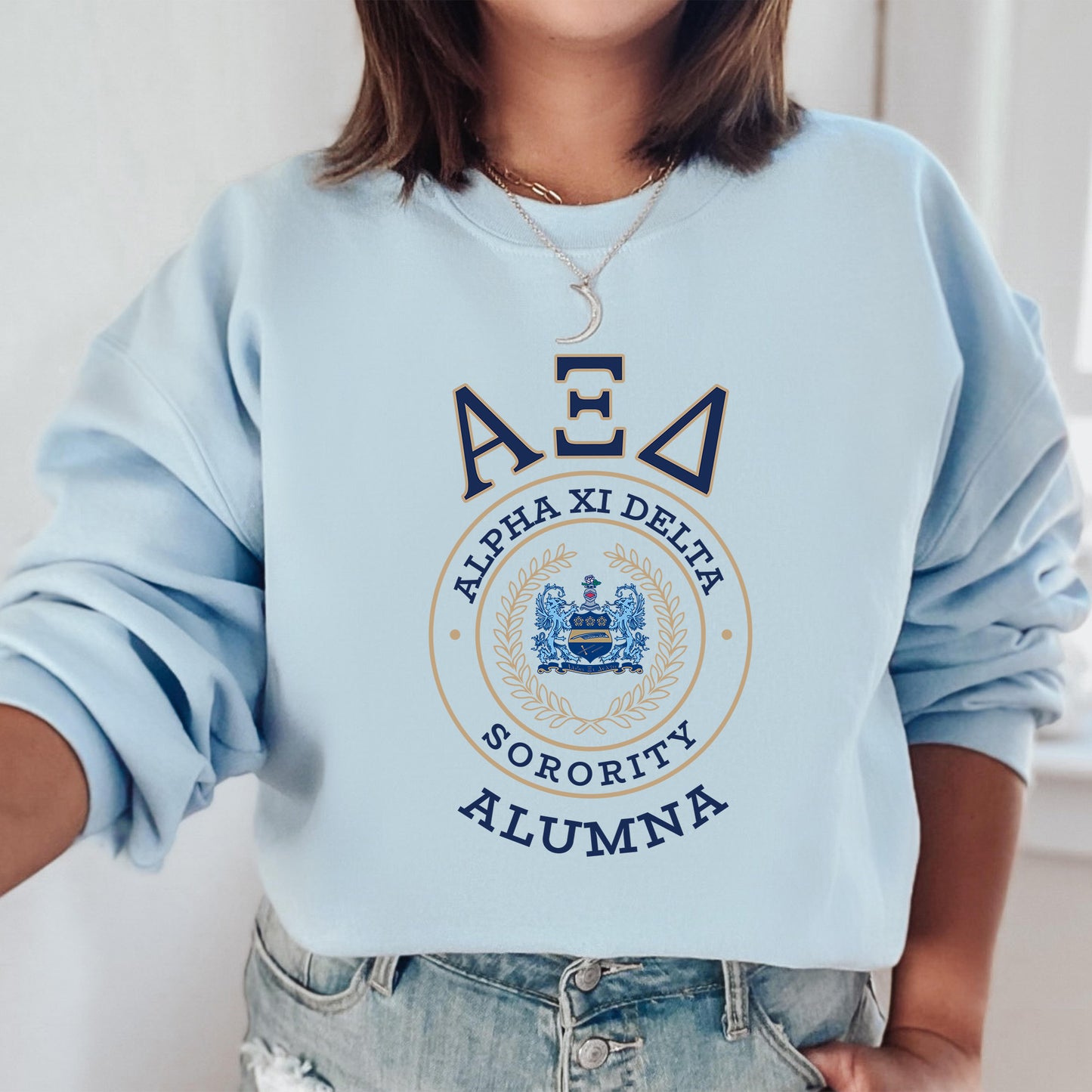 Alpha Xi Delta Alumna Vintage Sorority Sweatshirt _ 31017g