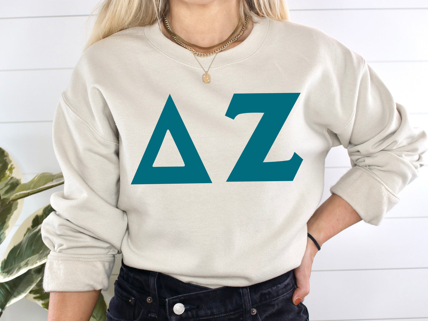 Delta Zeta Back to the Basics Sorority Sweatshirt _ 635g