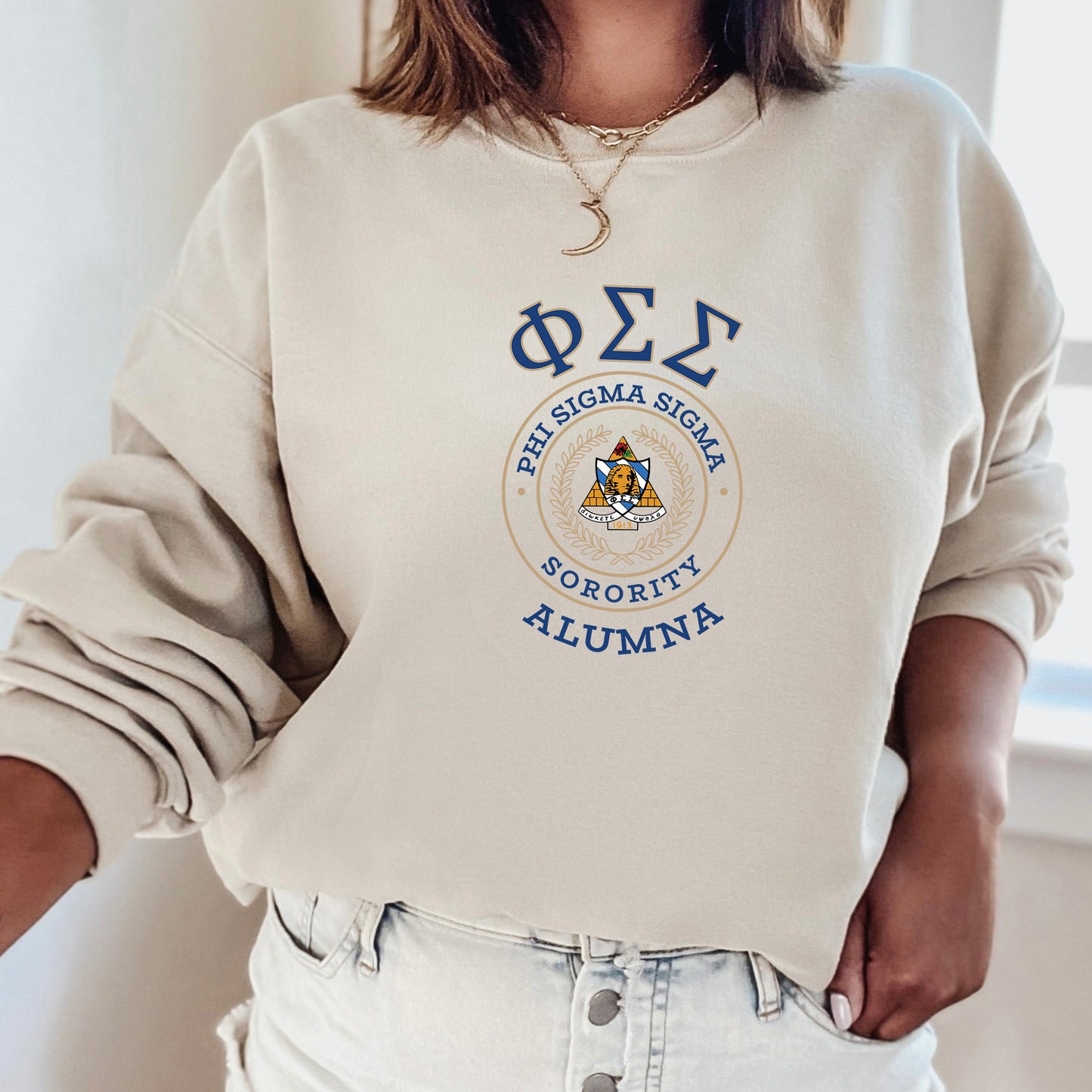 Phi Sigma Sigma Alumna Vintage Sorority Sweatshirt _ 31028g