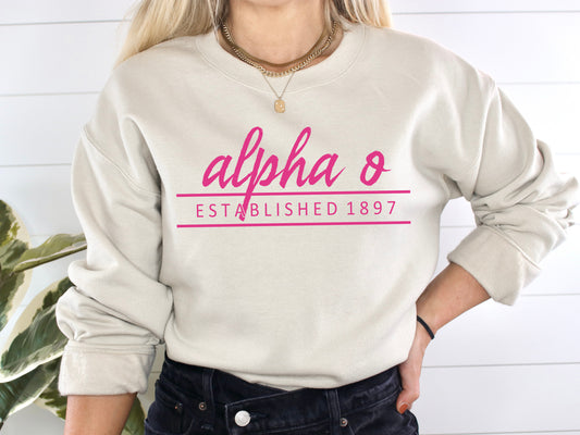 Alpha Omicron Pi All Pink Sorority Sweatshirt _ 756g