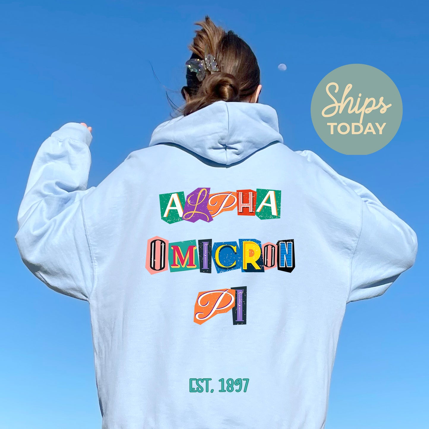 Alpha Omicron Pi Letter Cuts Sorority Hoodie _ 35891g