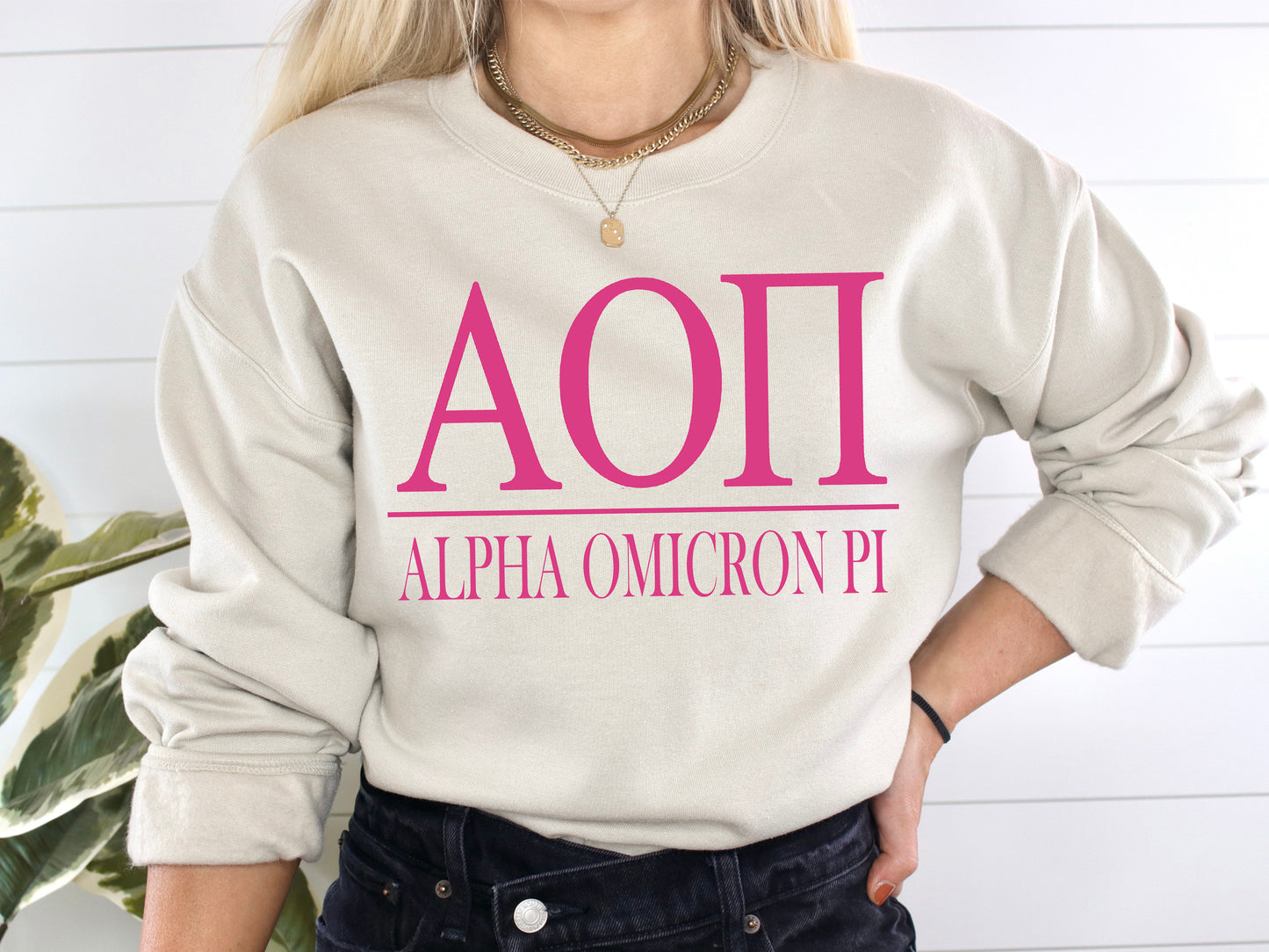Alpha Omicron Pi Loud Letters Sorority Sweatshirt _ 470g