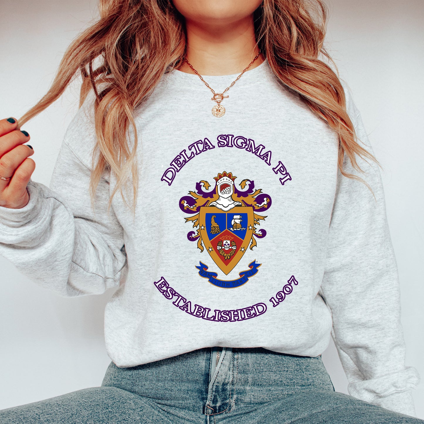 Delta Sigma Pi Iconic Insignia COED Sweatshirt _ 35668g