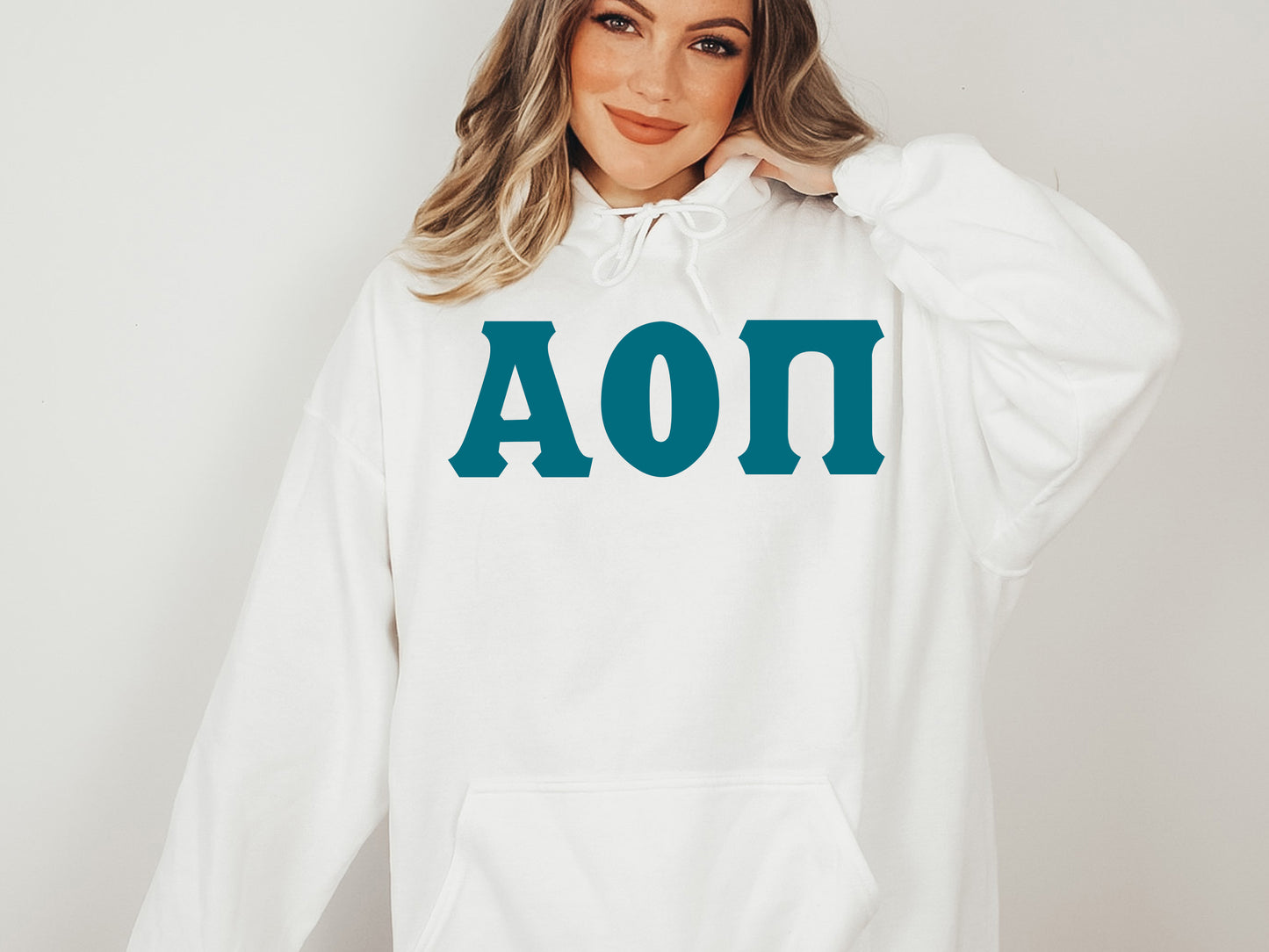 Alpha Omicron Pi Back to the Basics Sorority Hoodie _ 626g
