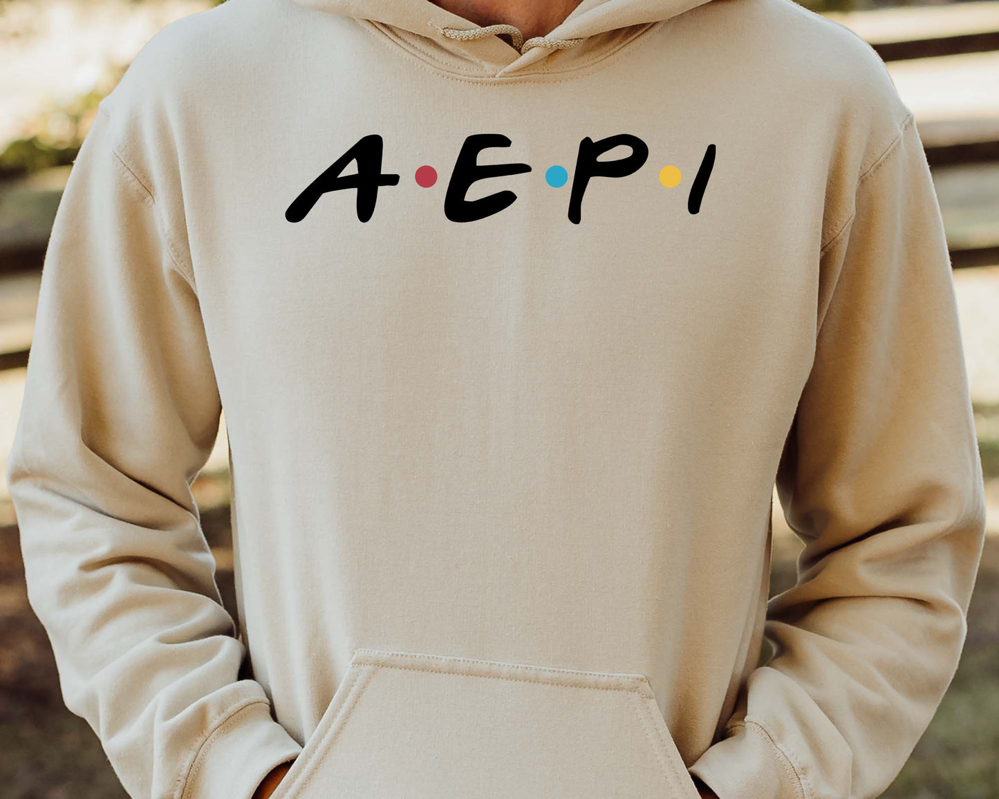 Alpha Epsilon Pi Greek Friends Fraternity Hoodie _ 30672g