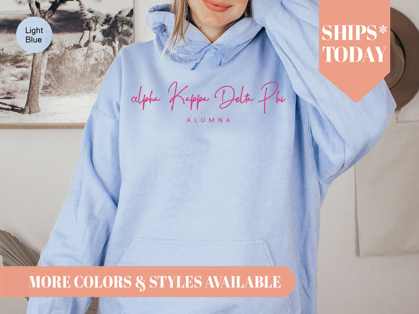 Alpha Kappa Delta Phi Vintage Alumna Sorority Hoodie _ 3495g