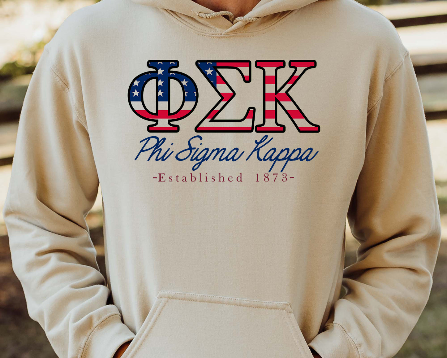 Phi Sigma Kappa American Flag Letters Fraternity Hoodie _ 1171g