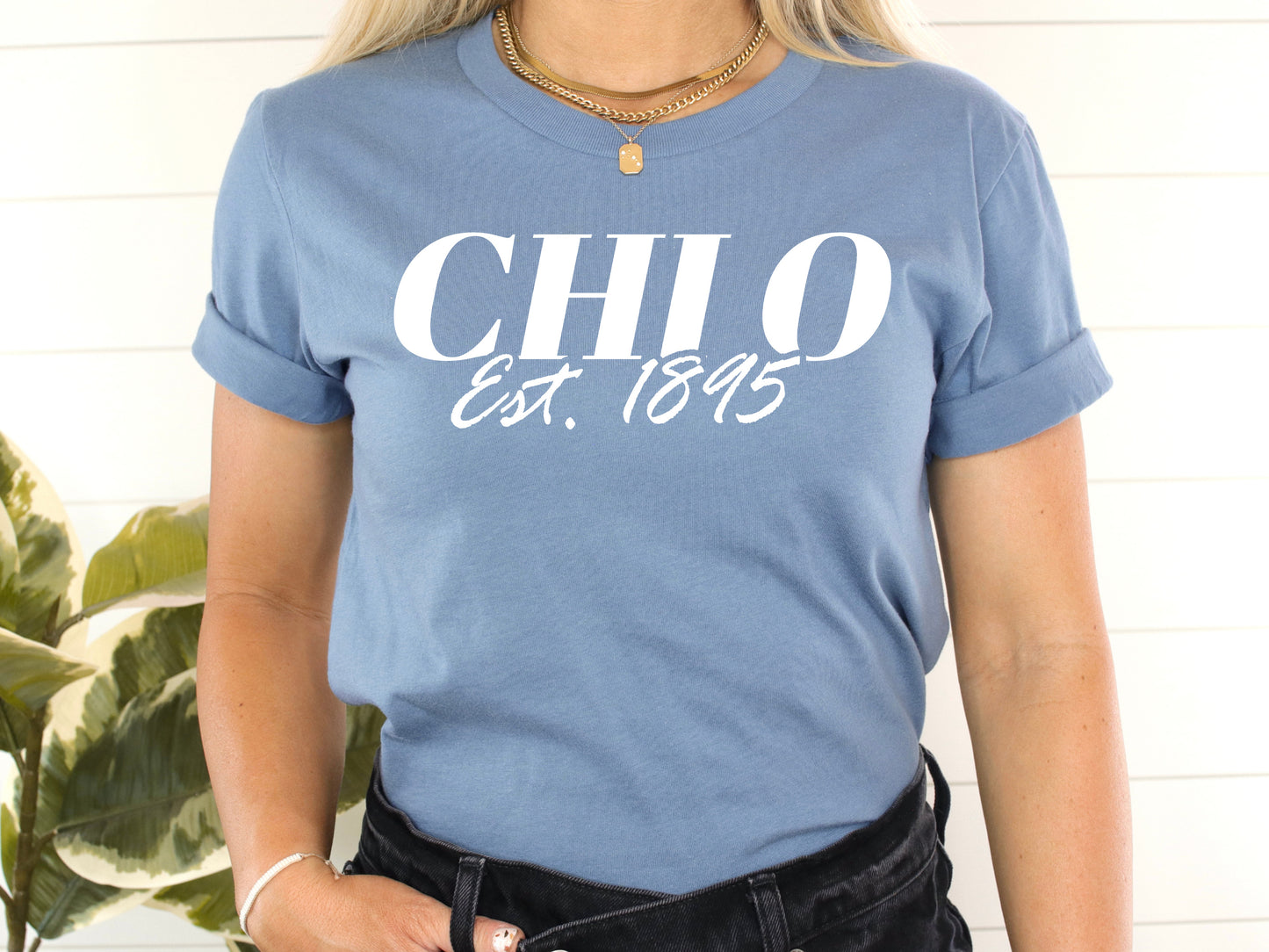 Chi Omega Mom Sorority T-shirt _ 30826g