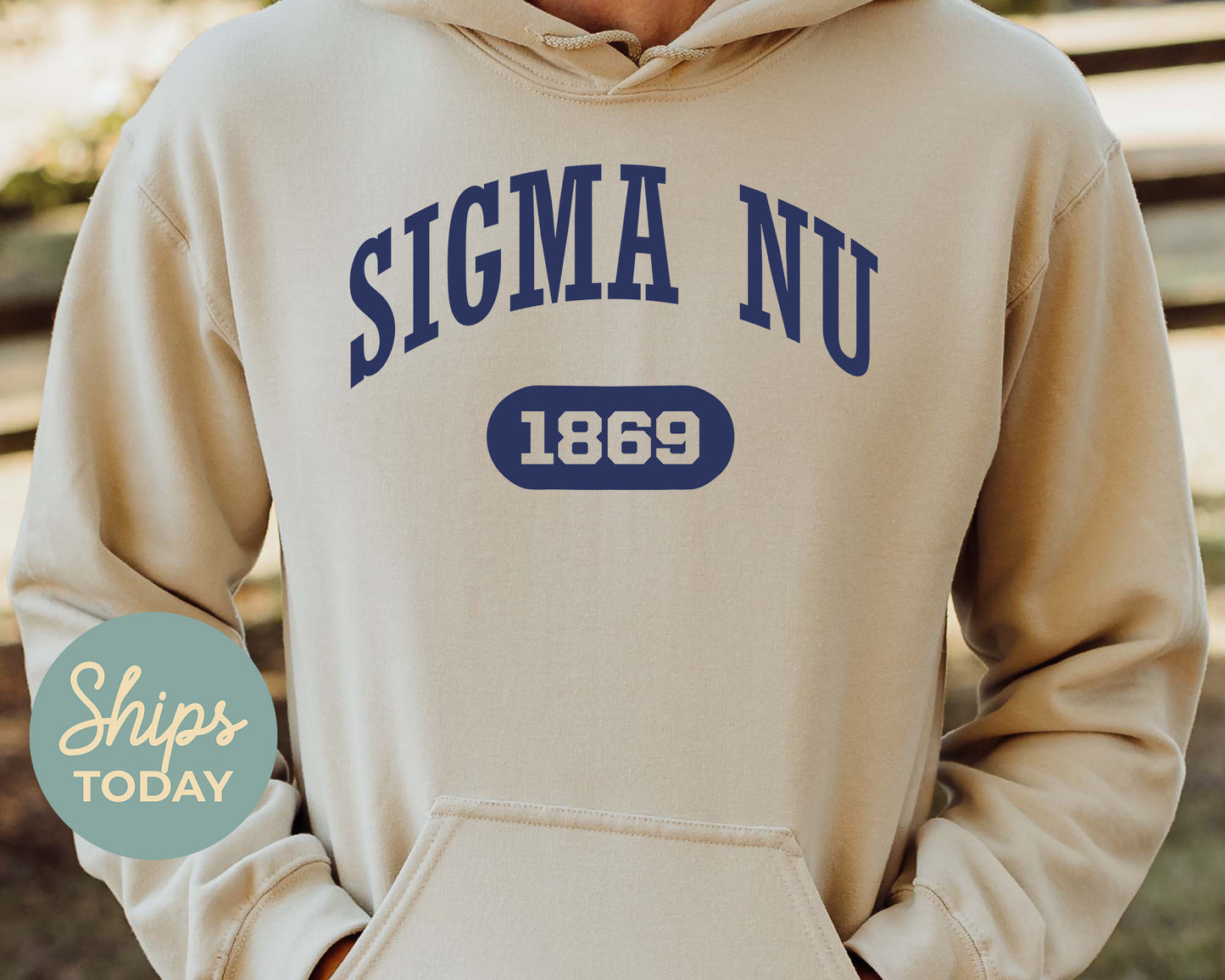 Sigma Nu Fraternal Arch Fraternity Hoodie _ 931g