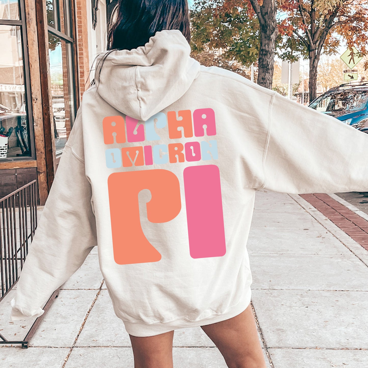 Alpha Omicron Pi Vibrant Verve Sorority Hoodie _ 32605g