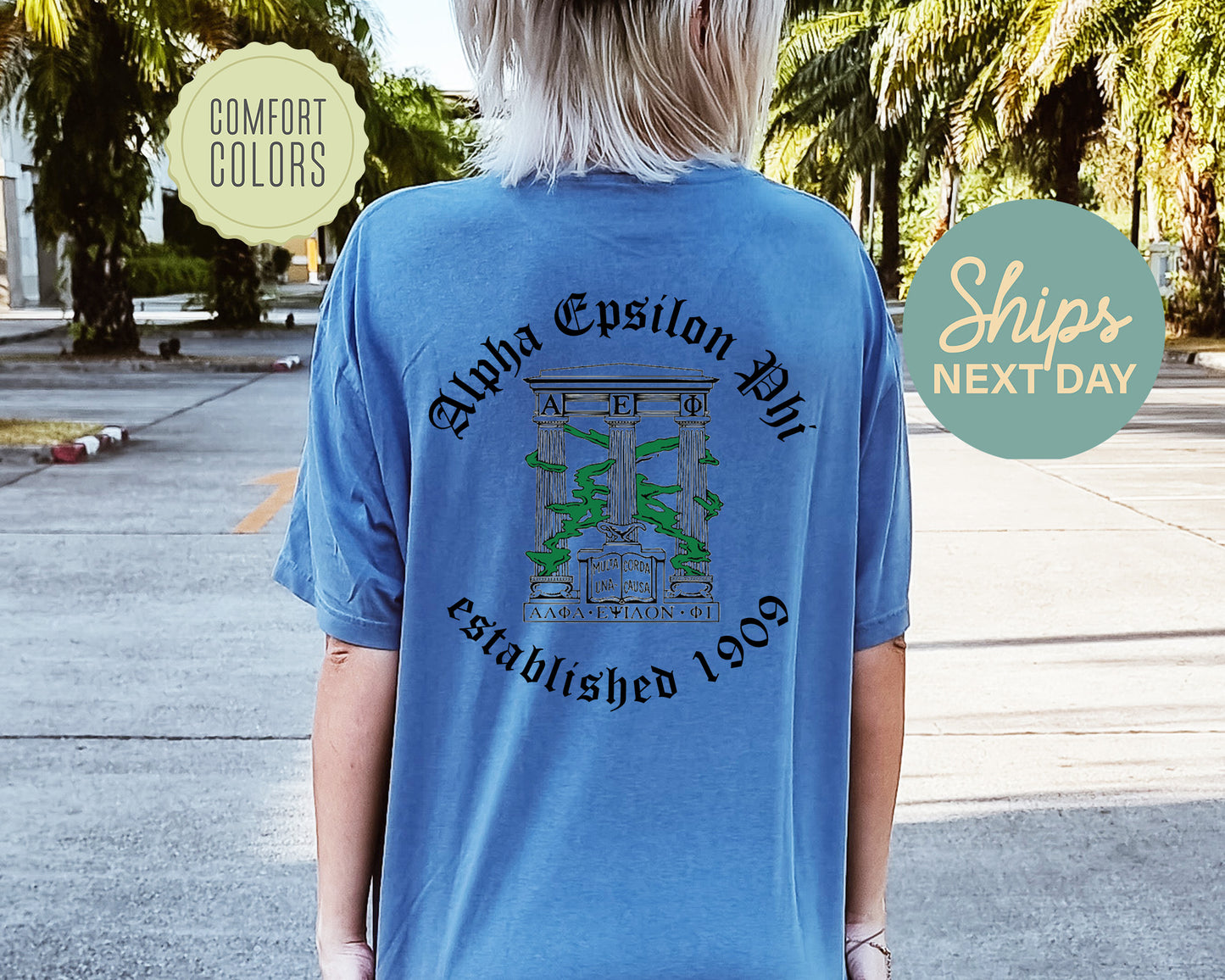 Alpha Epsilon Phi Old English Crest Comfort Colors Sorority T-shirt _ 32922g