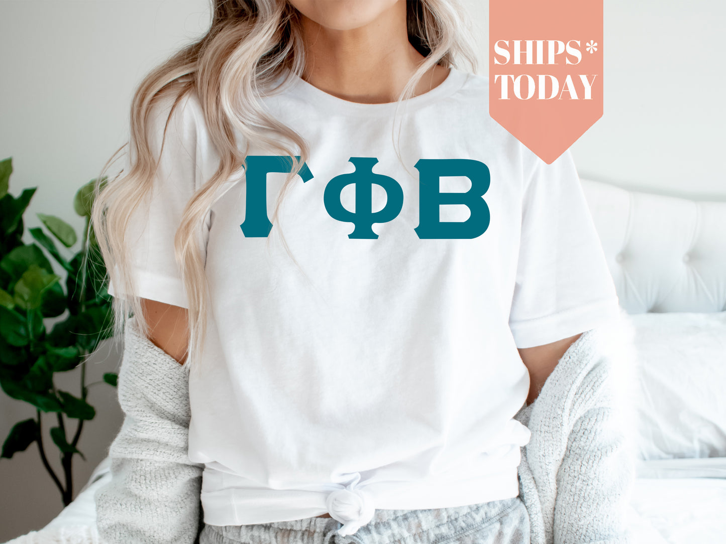 Gamma Phi Beta Back to the Basics Sorority T-shirt _ 636g