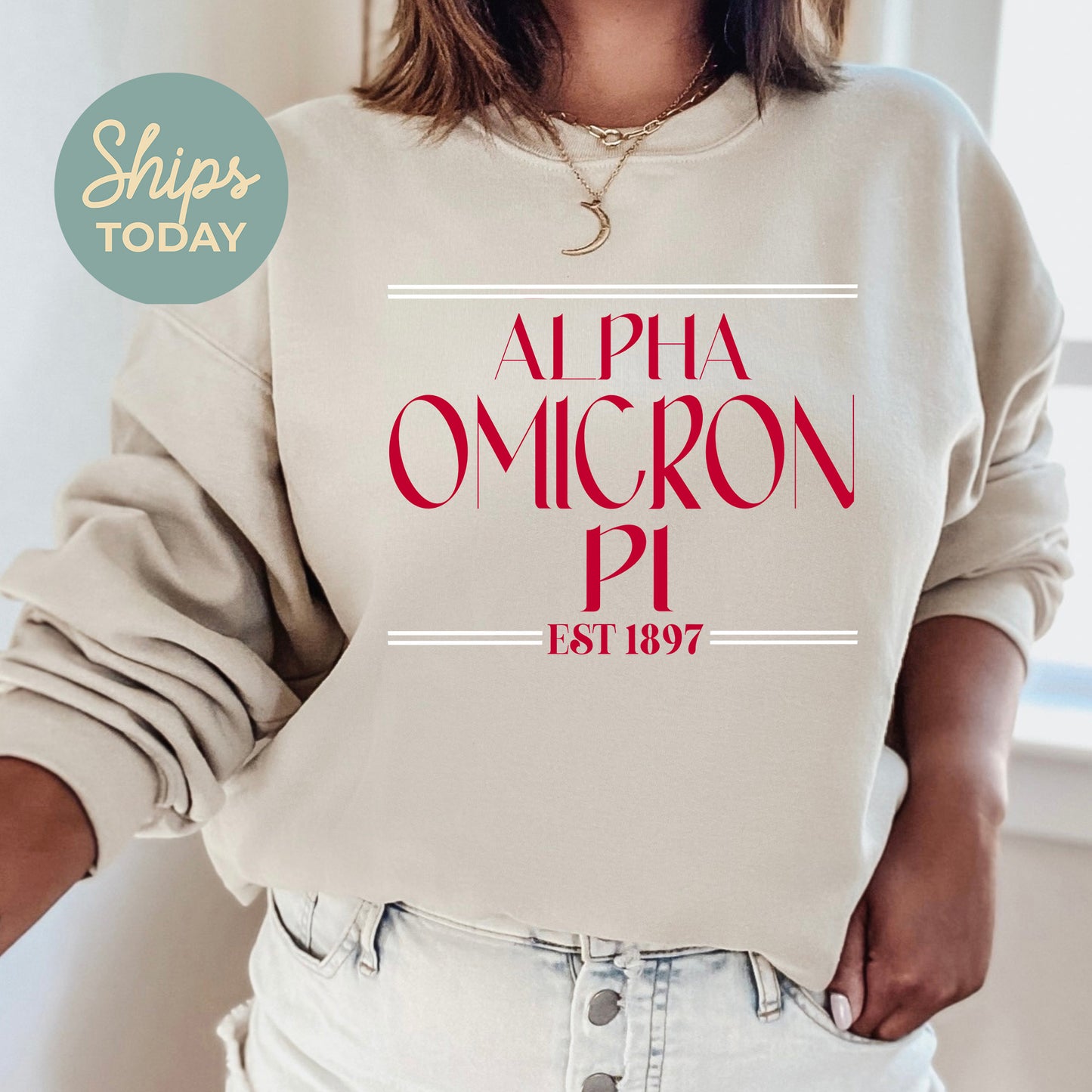 Alpha Omicron Pi Greek Harmony Sorority Sweatshirt _ 34968g