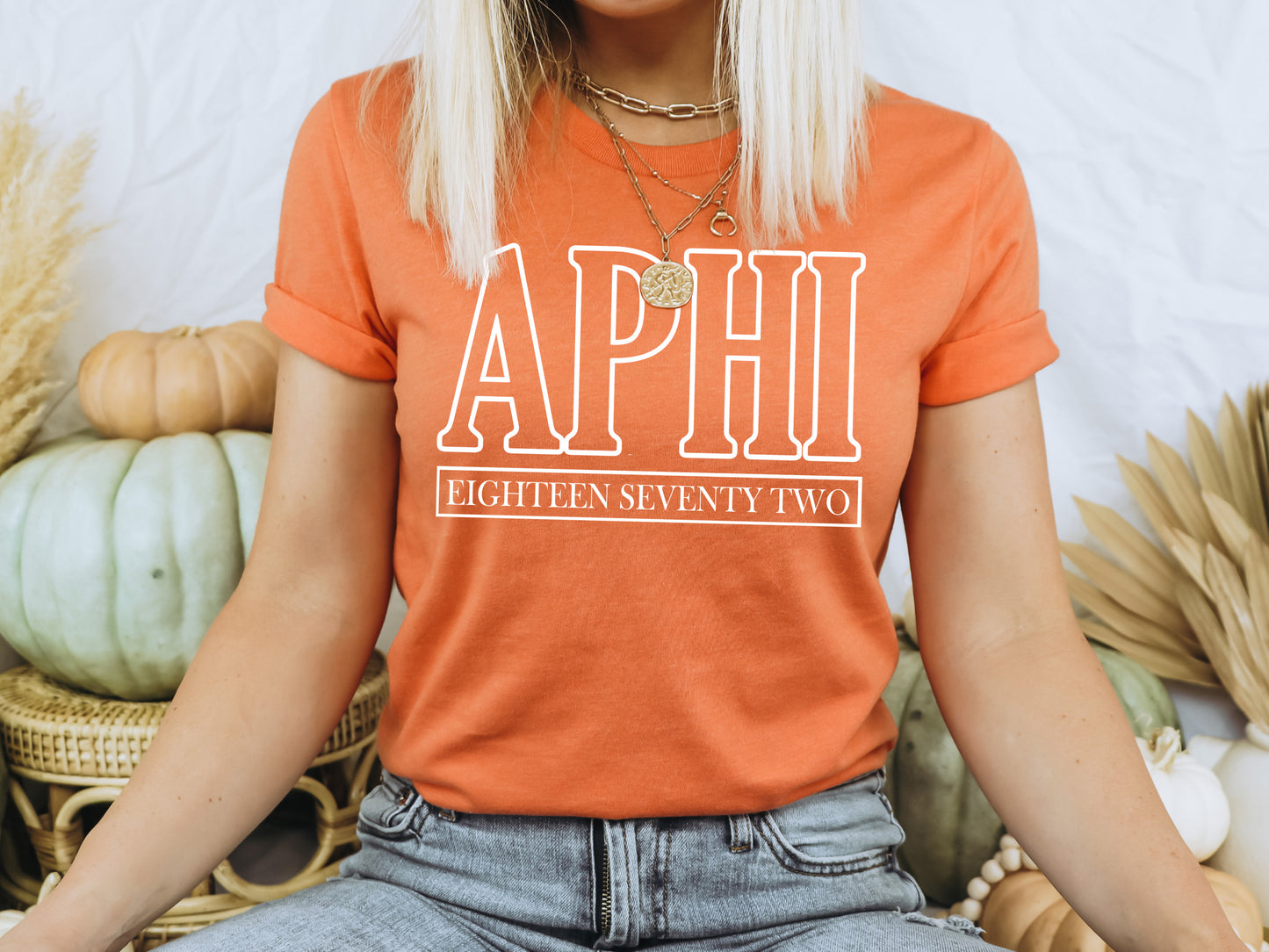 Alpha Phi Stencil Stacked Sorority T-shirt _ 2139g