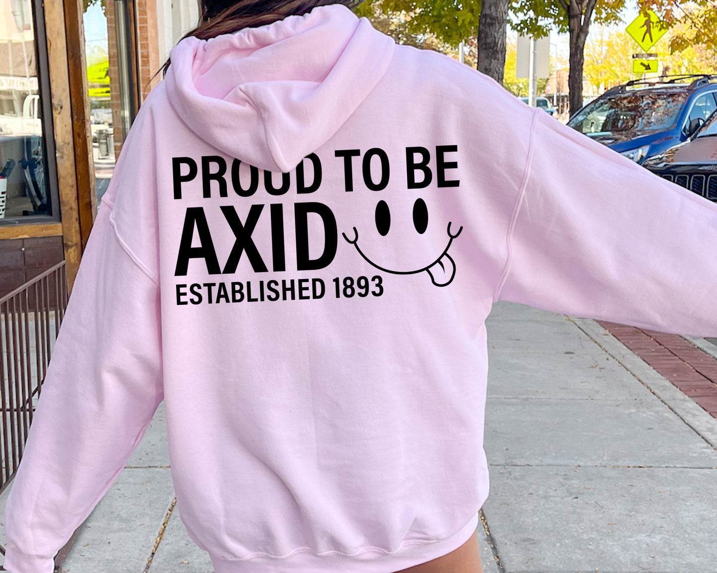 Alpha Xi Delta Proud to Be Sorority Hoodie _ 33136g