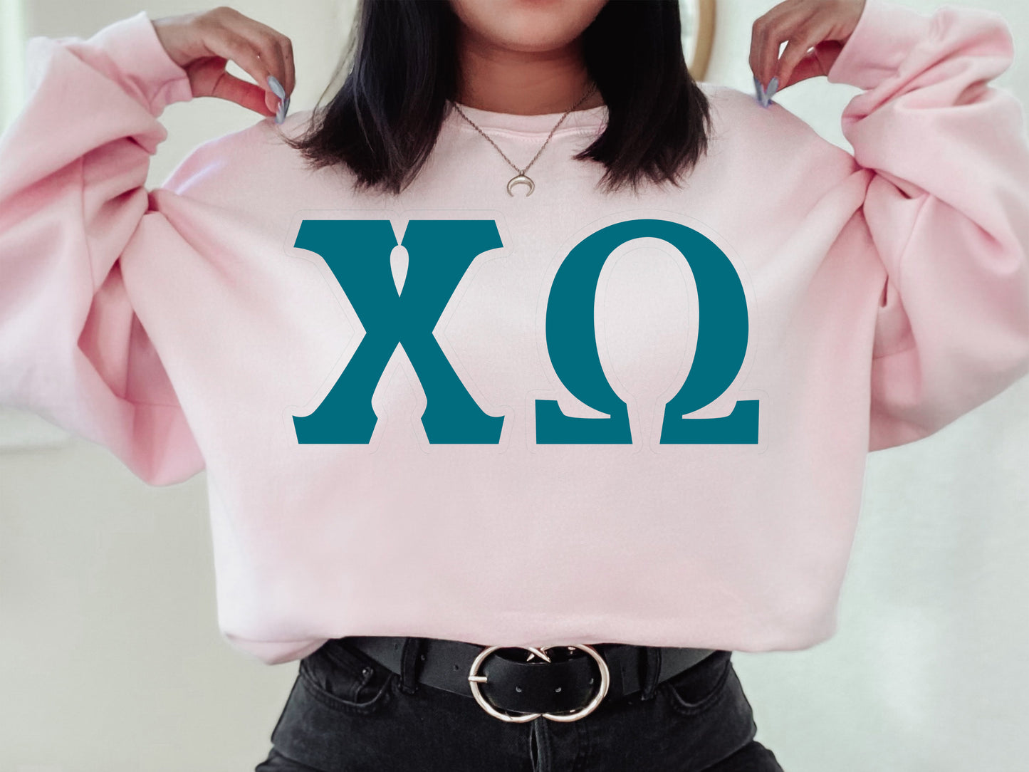 Chi Omega Back to the Basics Sorority Sweatshirt _ 631g