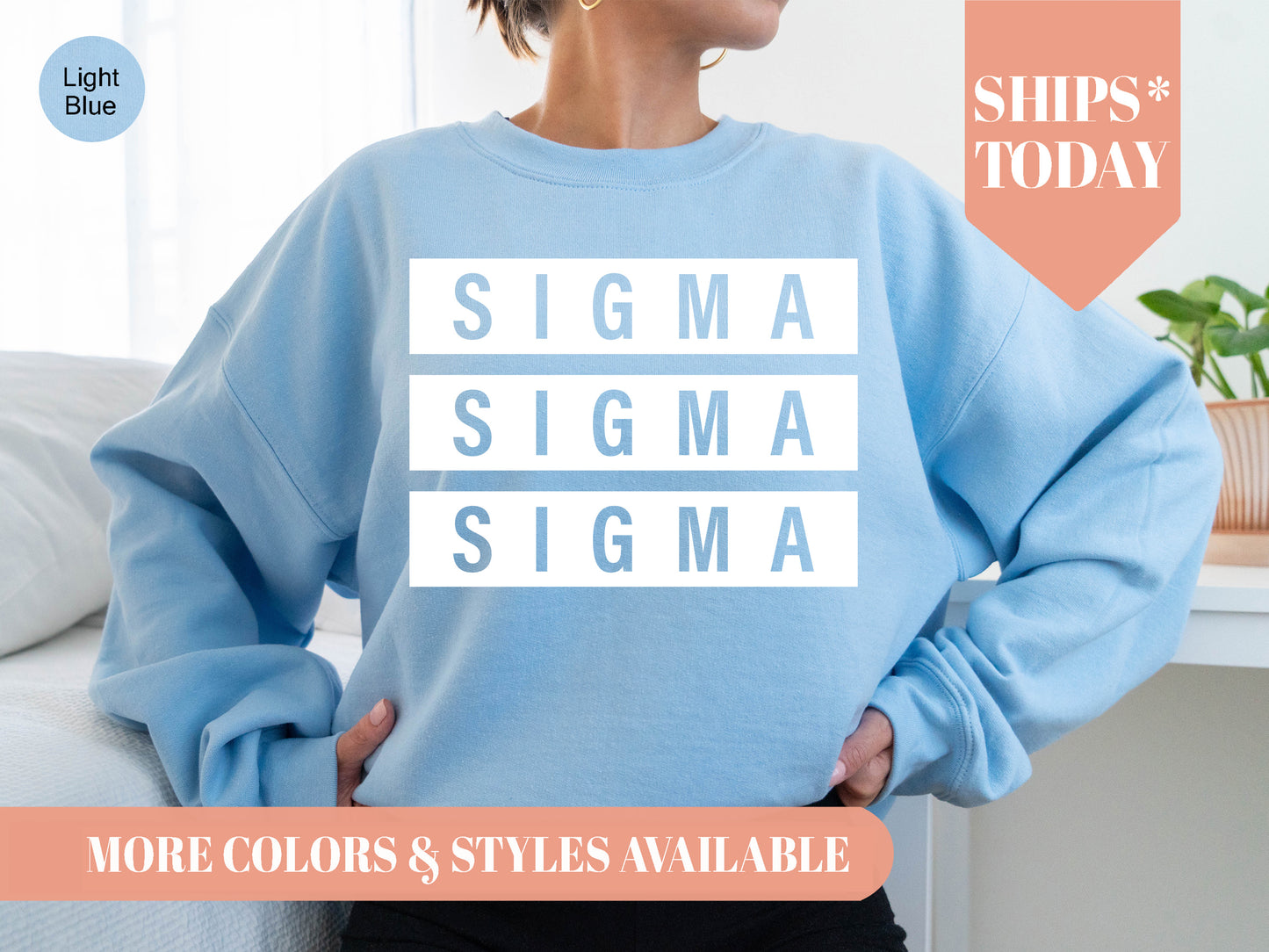 Sigma Sigma Sigma Faded White Box Sorority Sweatshirt _ 3356g
