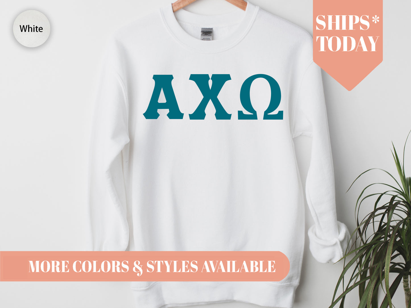 Alpha Chi Omega Back to the Basics Sorority Sweatshirt _ 622g