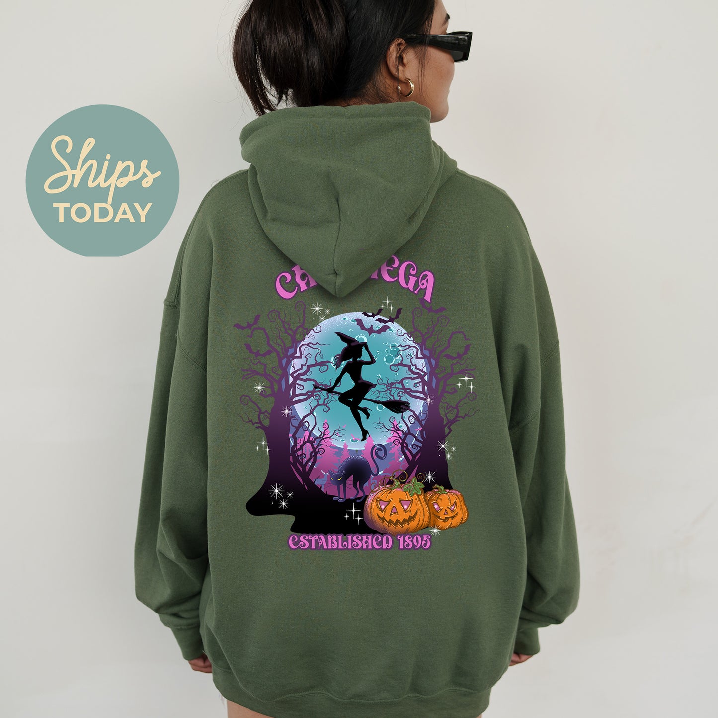 Chi Omega Halloween Witch Sorority Hoodie _ 36235g