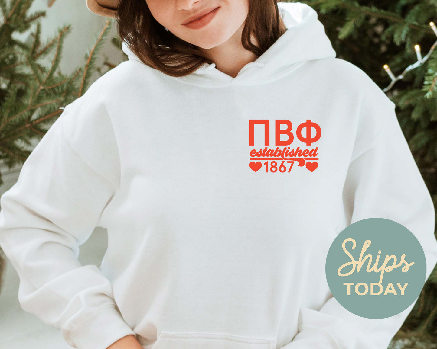 Pi Beta Phi Red Heart Sorority Hoodie _ 33366g