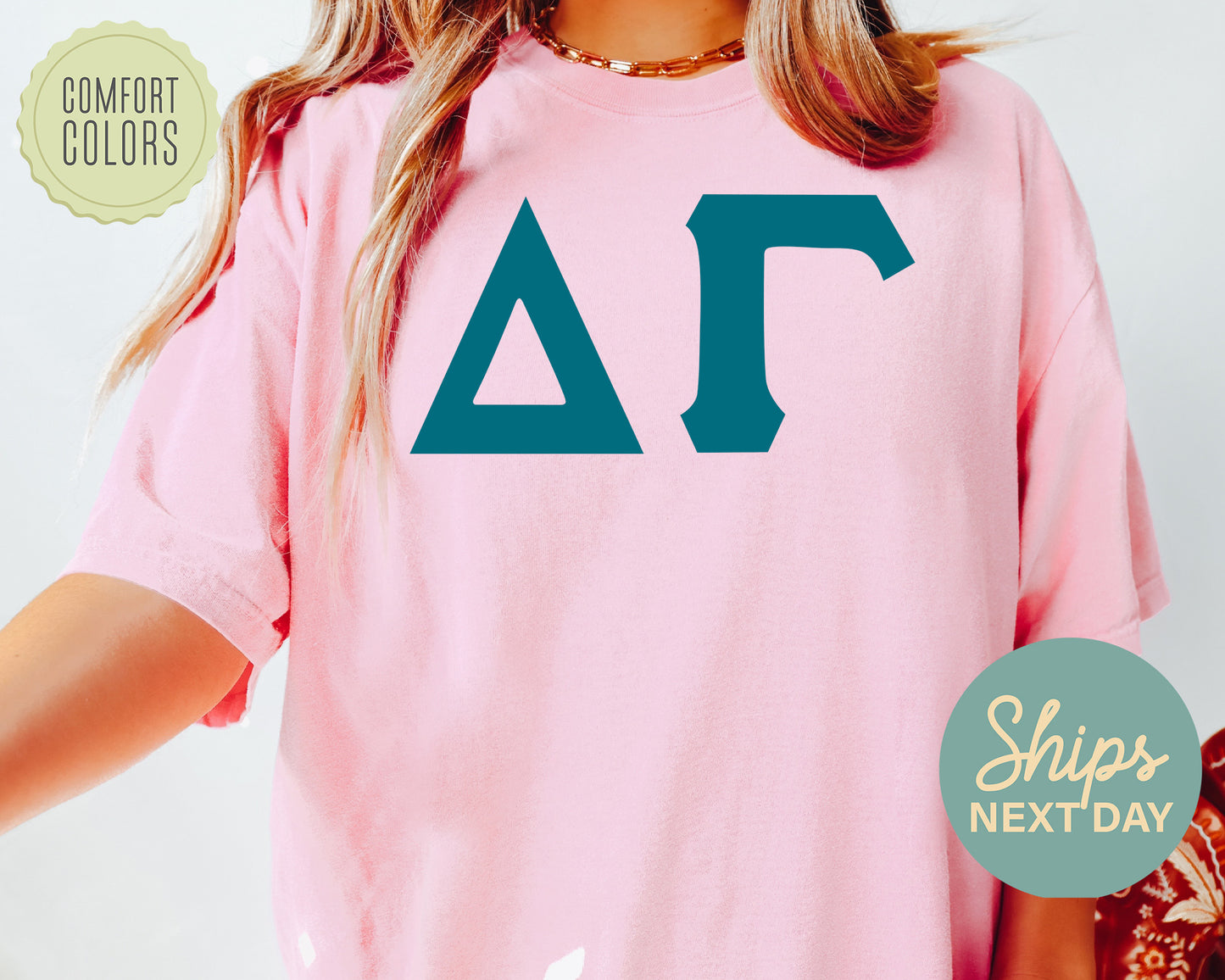 Delta Gamma Back to the Basics Comfort Colors Sorority T-shirt _ 633g