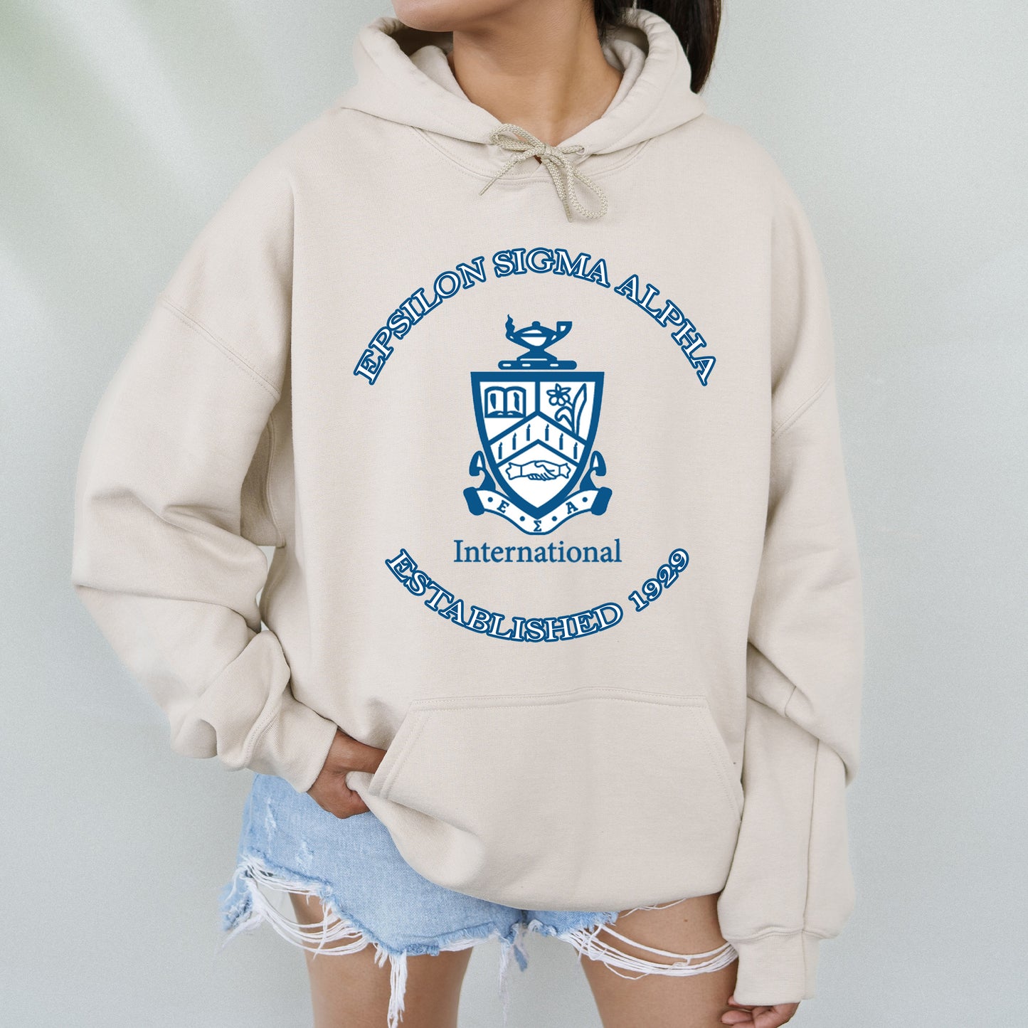 Epsilon Sigma Alpha Iconic Insignia COED Hoodie _ 35669g