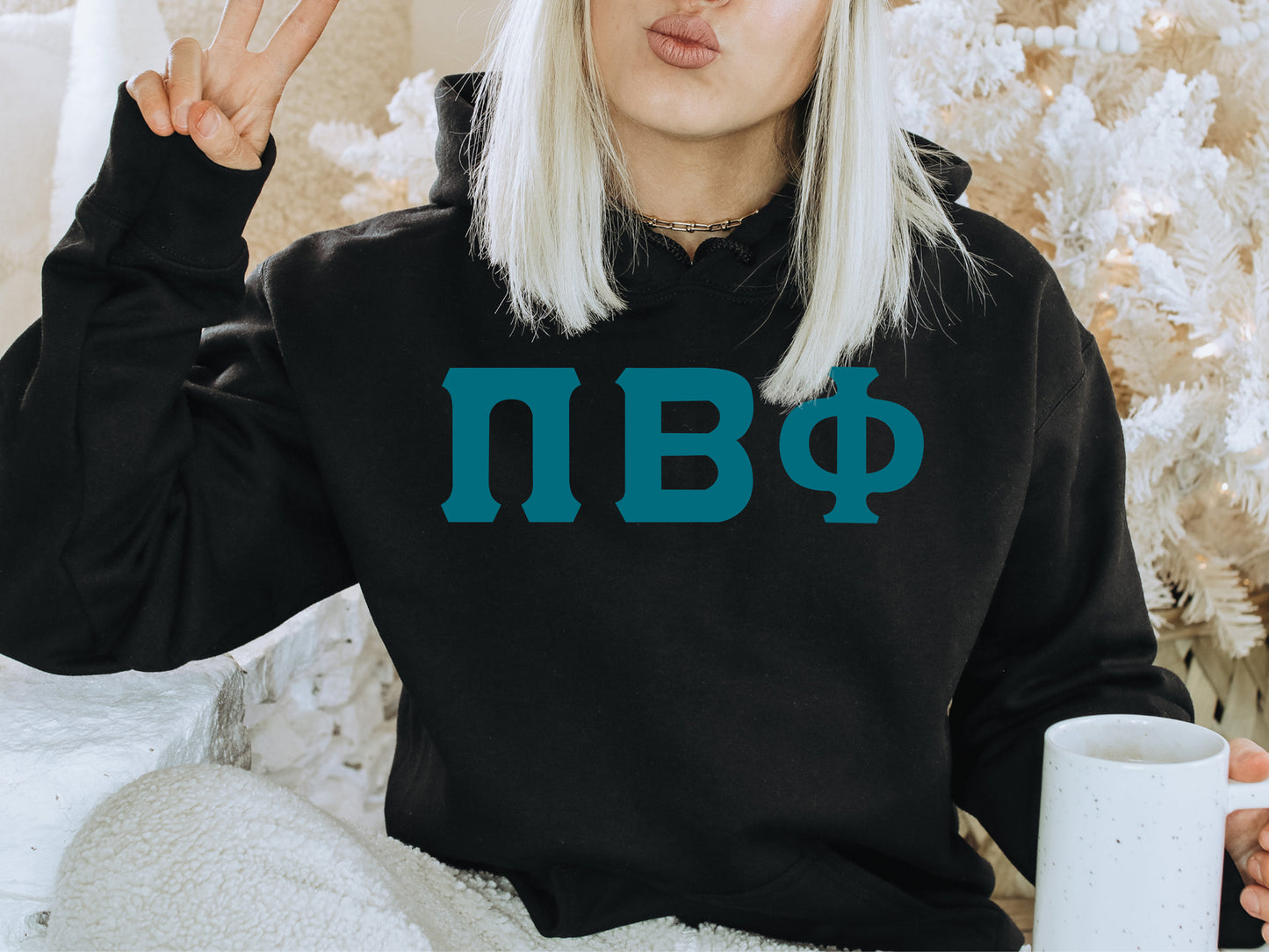 Pi Beta Phi Back to the Basics Sorority Hoodie _ 342g