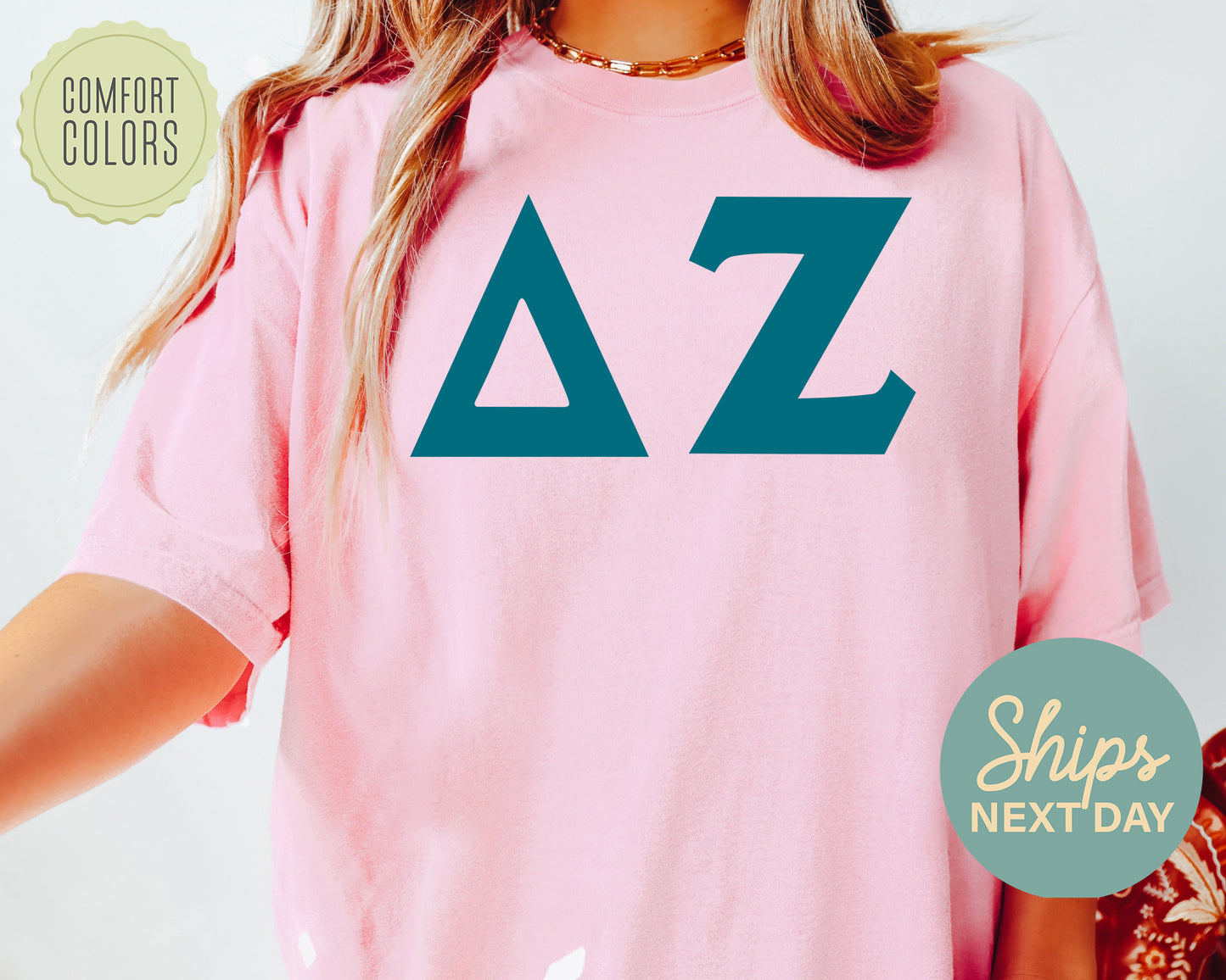 Delta Zeta Back to the Basics Comfort Colors Sorority T-shirt _ 635g