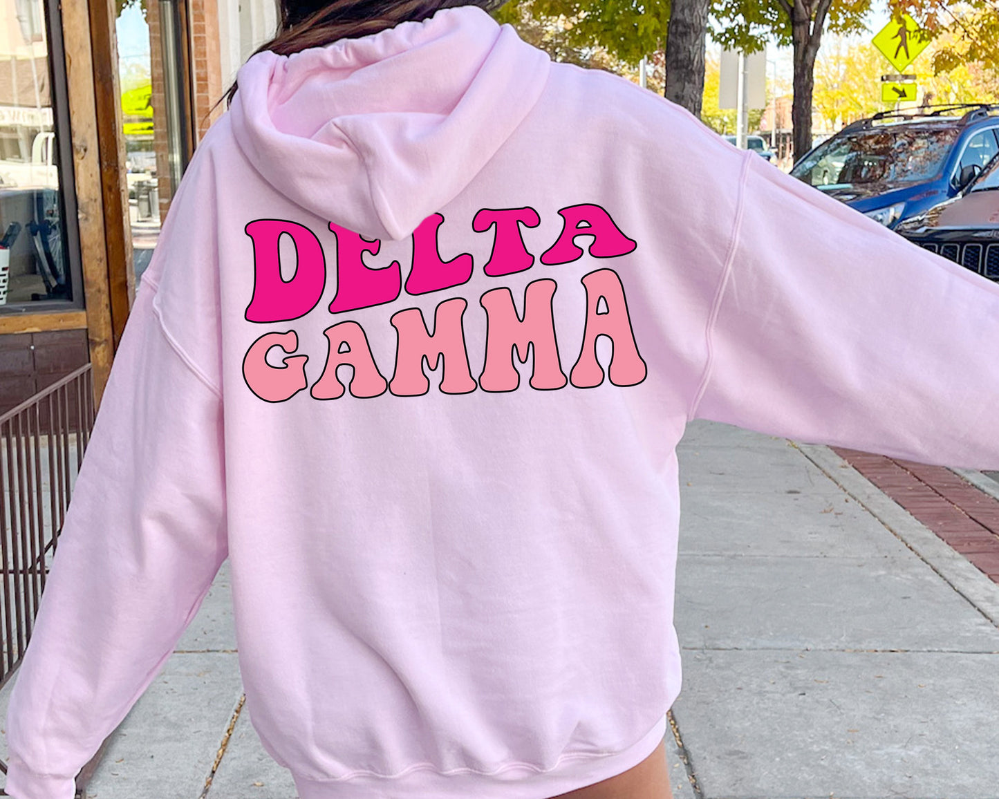 Delta Gamma Shades of Pink Sorority Hoodie _ 32983g
