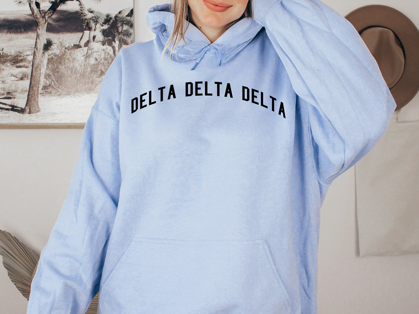 Delta Delta Delta Just Bold Sorority Hoodie _ 2379g