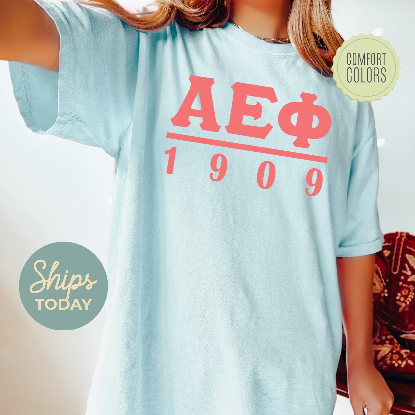 Alpha Epsilon Phi Monochromatic Comfort Colors Sorority T-shirt _ 30845g