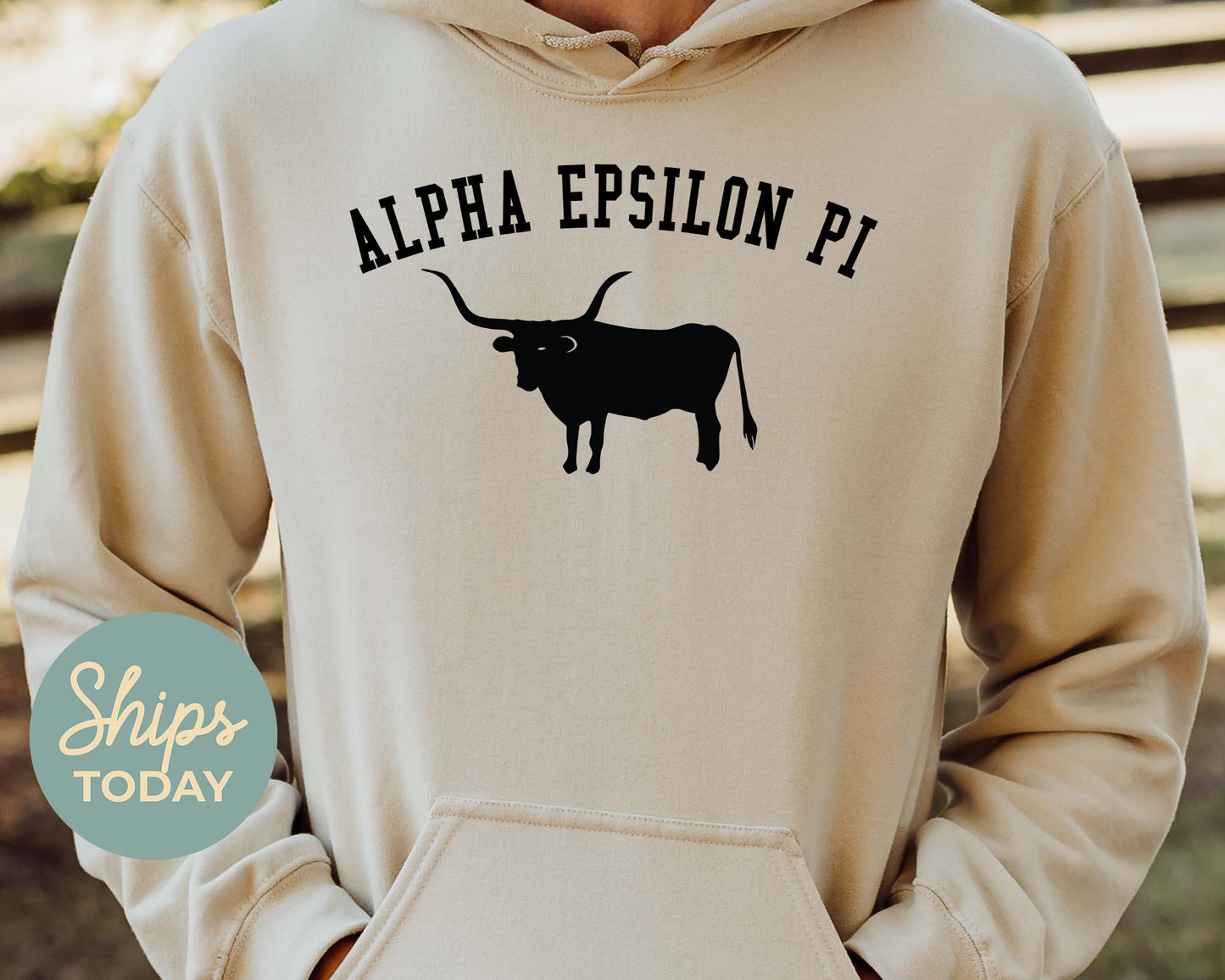 Alpha Epsilon Pi Long Horn Fraternity Hoodie _ 1524g