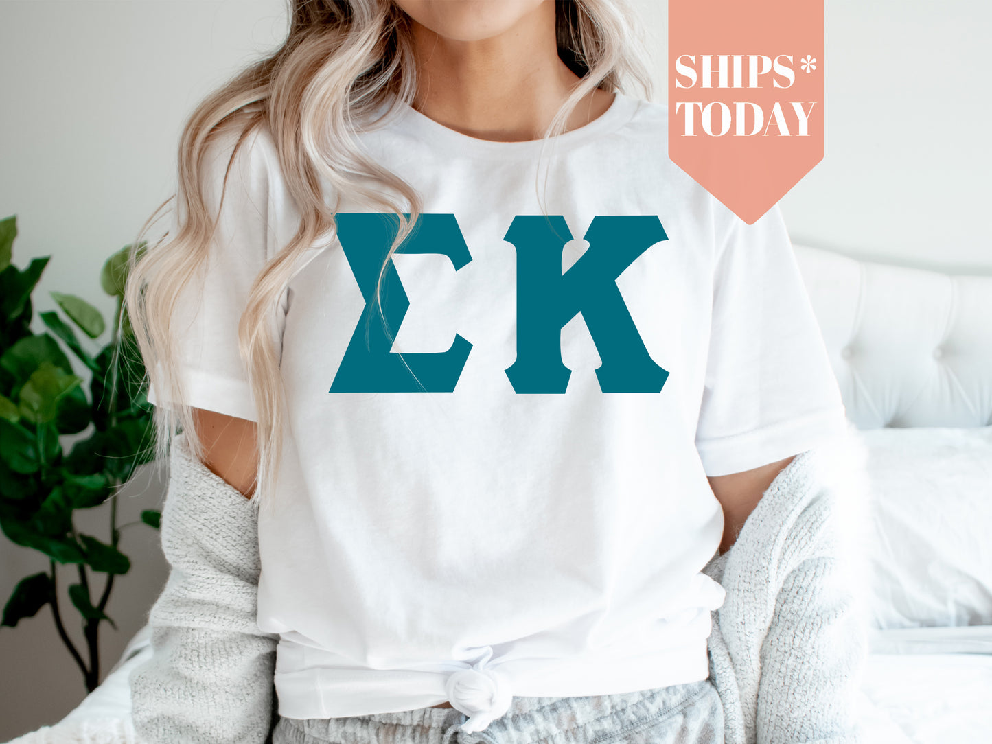Sigma Kappa Back to the Basics Sorority T-shirt _ 644g