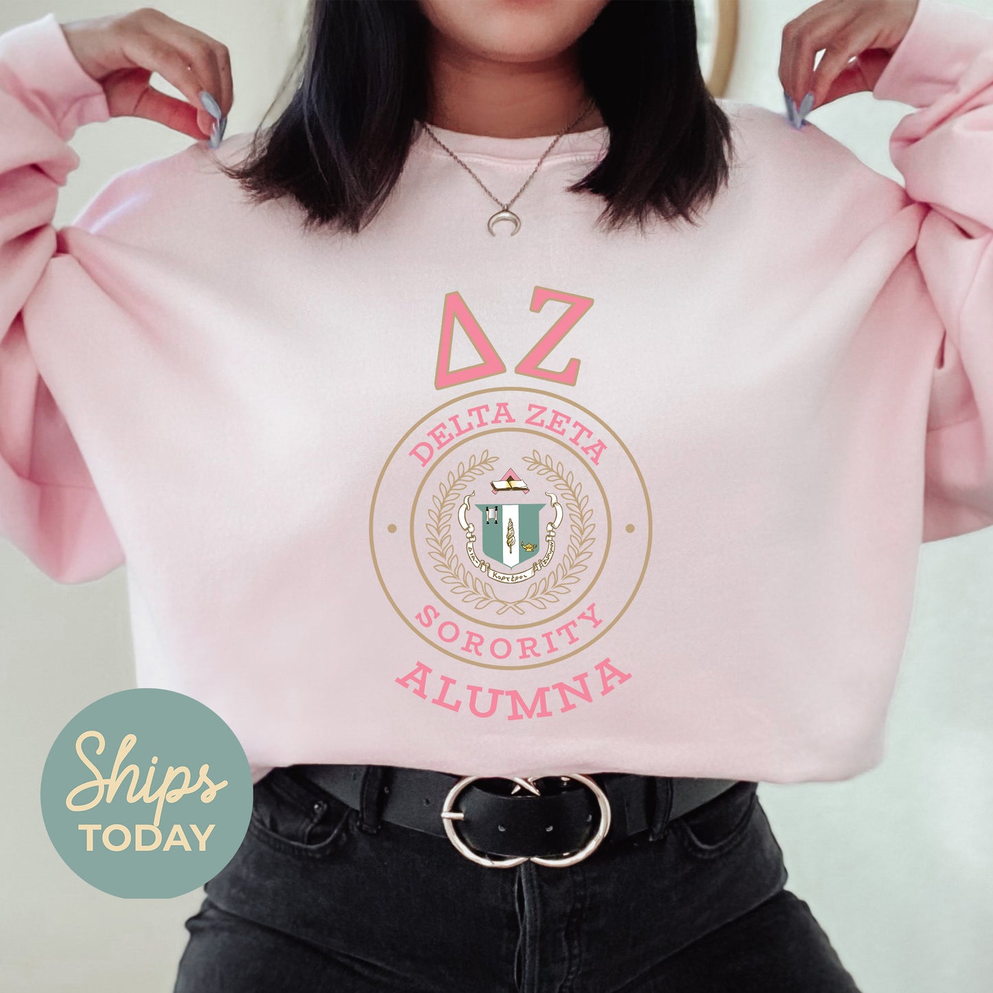 Delta Zeta Alumna Vintage Sorority Sweatshirt _ 31022g